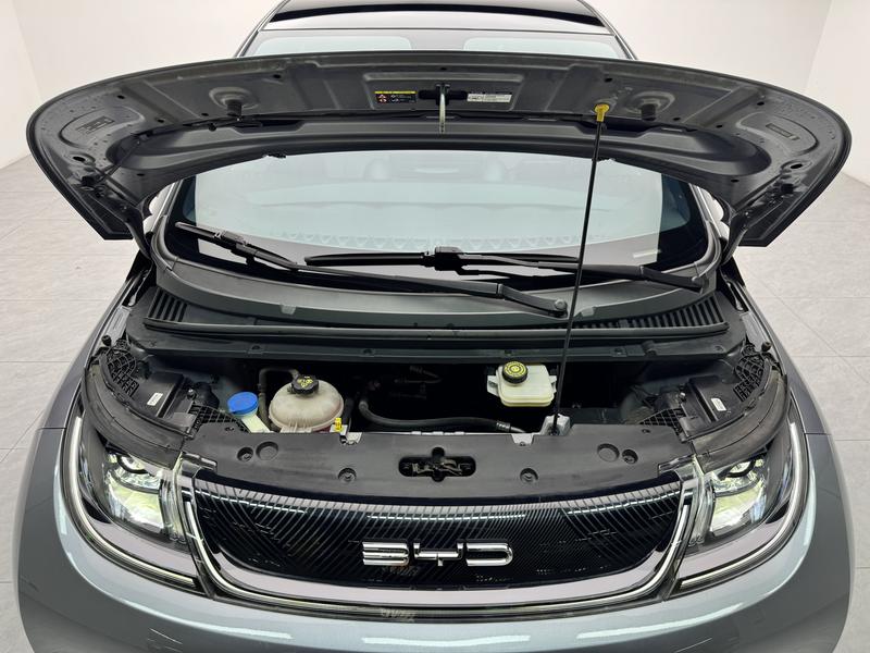 BYD dolphin 2021