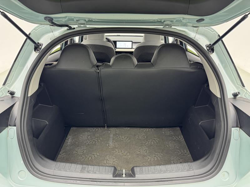 Geometry Geely Geometry E Firefly 2024