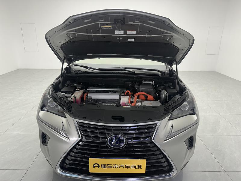 Lexus Lexus NX 2020