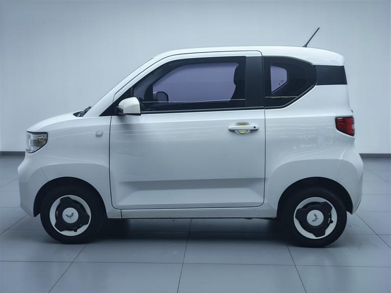 Wuling Wuling Hongguang MINIEV 2022