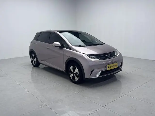 BYD dolphin Fashion edition