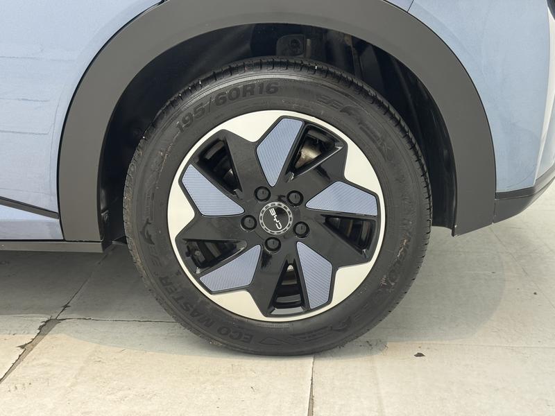 BYD dolphin 2025