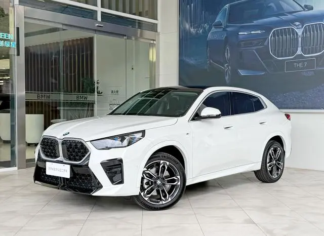 BMW BMW X2 (imported) sDrive25i M sports suit