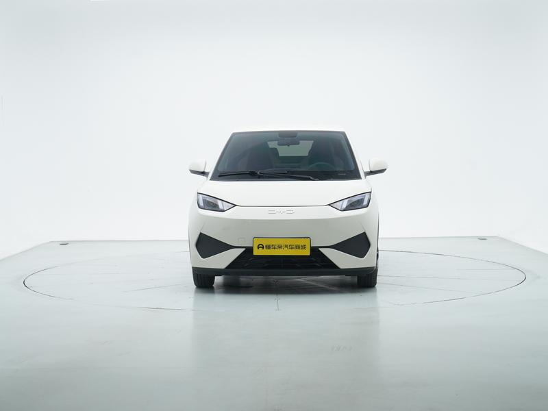 BYD seagull 2025