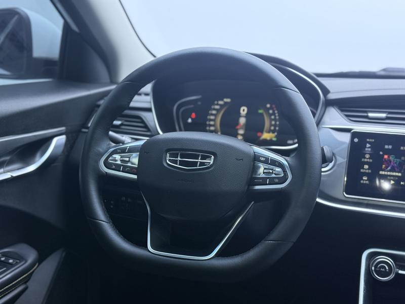 Geely Binrui 2021