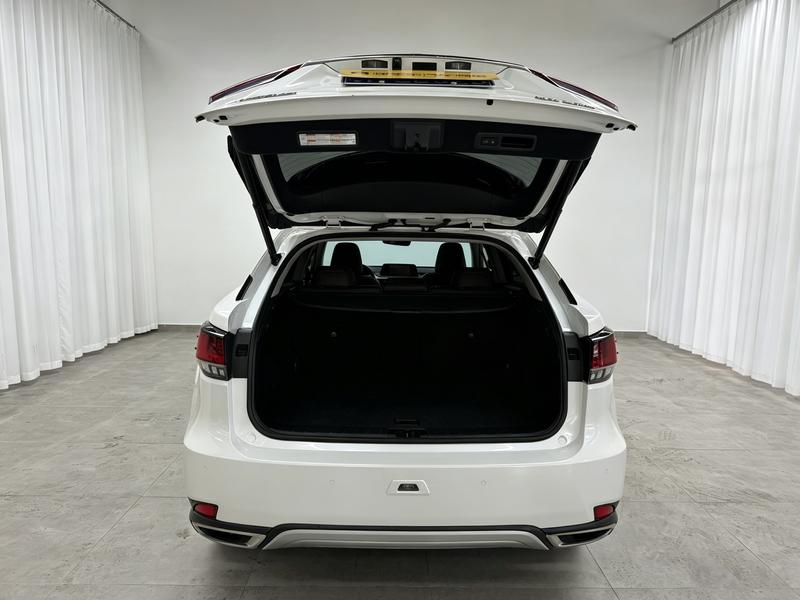 Lexus Lexus RX 2020