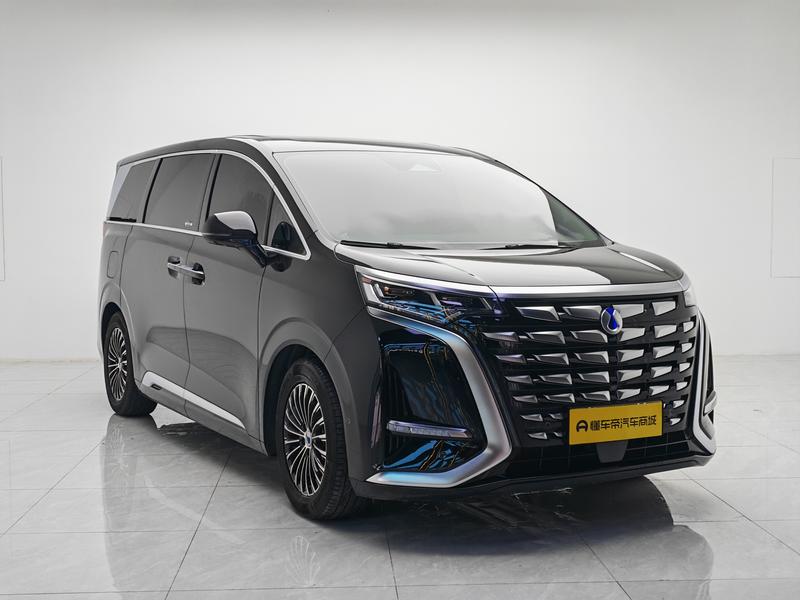 Denza Tengshi D9 DM 2022