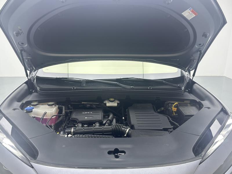 BYD Sea Lion 06DM 2025