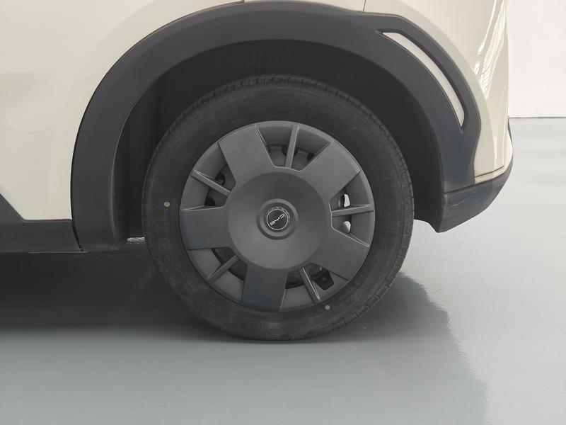 BYD seagull 2024