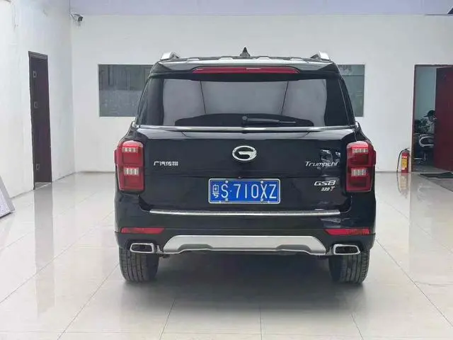 GAC Trumpchi GS8 320T two-wheel drive luxury Zhilian Edition 7 seats