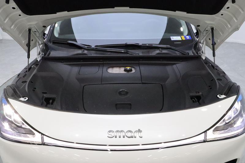 smart Smart Elf # 1 2024