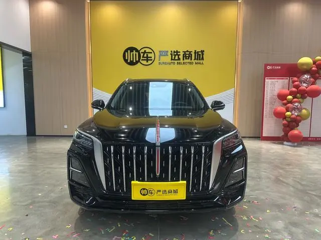 Hongqi Hongqi HS5 2.0T Qixiang Pro 500,000 Commemorative Edition