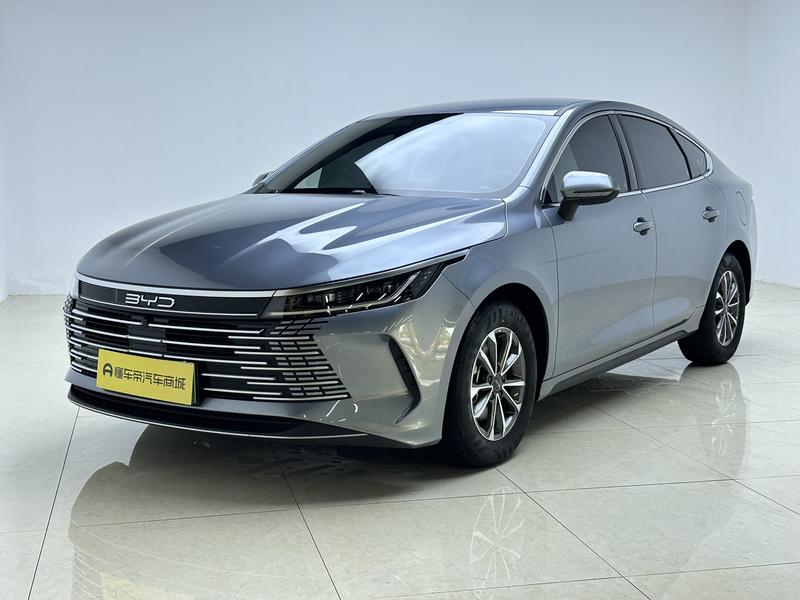 BYD Destroyer 05 2024