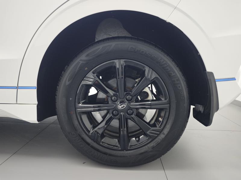 BYD BYD e2 2021