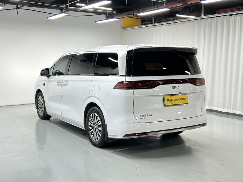BYD summer 2025
