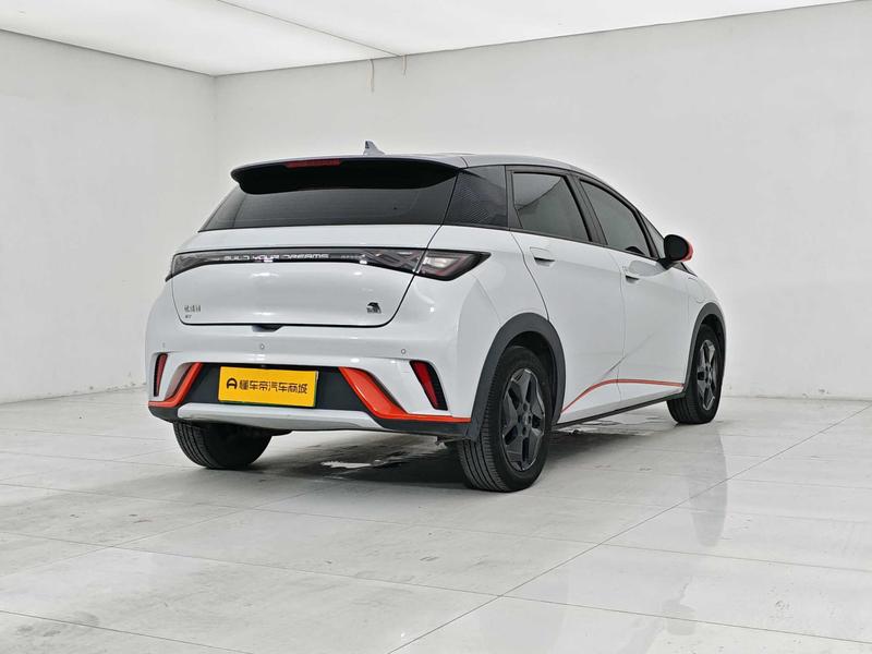 BYD dolphin 2021