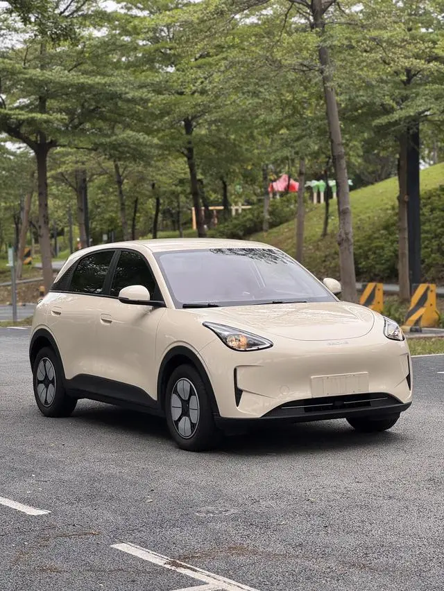 Geely Galaxy Star Wish 310km Youth Edition