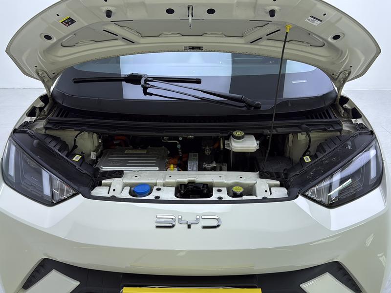 BYD seagull 2024