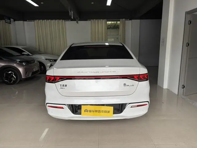 BYD Qin PLUS DM DM-i 55KM flagship type