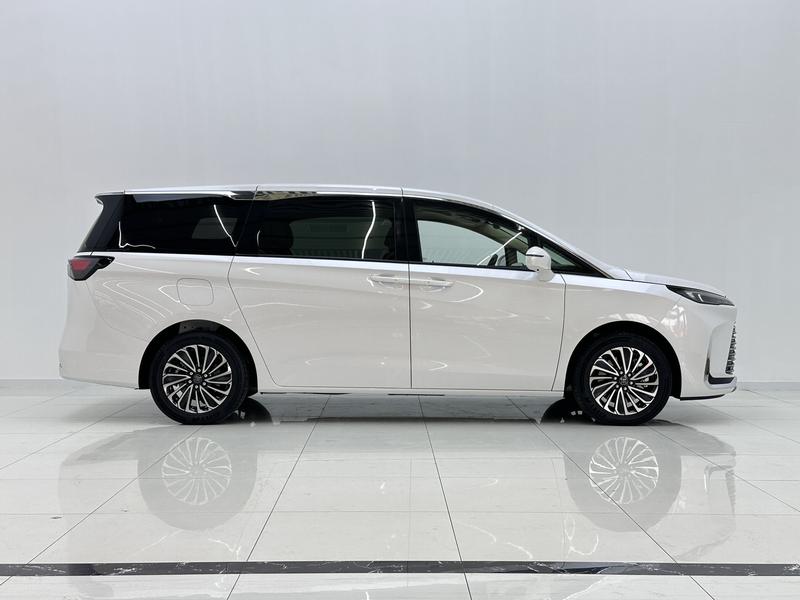 Buick Buick GL8 PHEV 2025