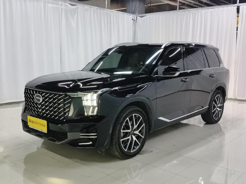 Trumpchi Trumpchi GS8 2024