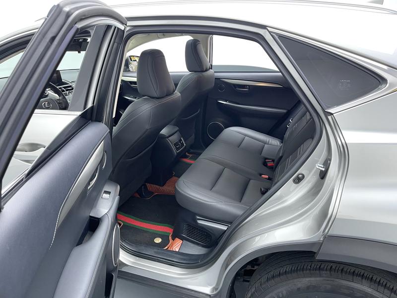 Lexus Lexus NX 2020