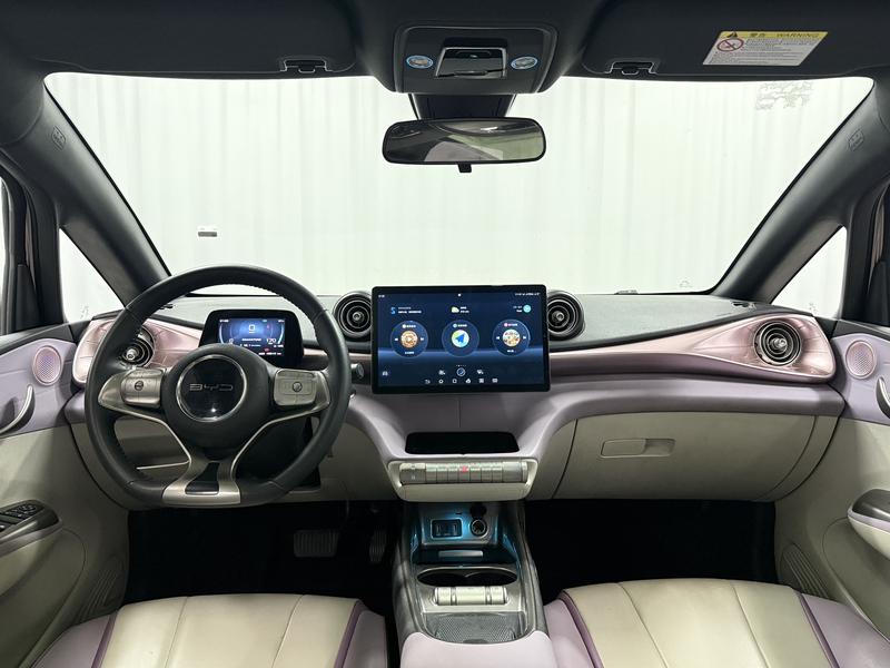 BYD dolphin 2021