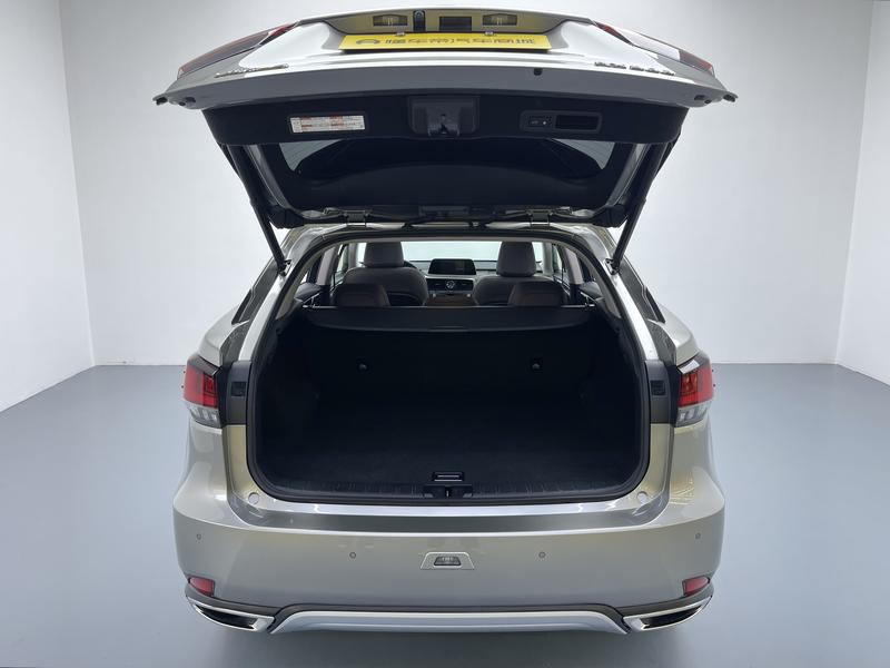 Lexus Lexus RX 2020