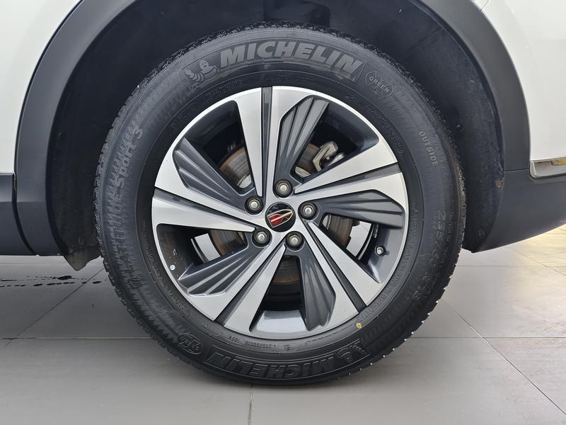 Hongqi Red Flag HS5 2019