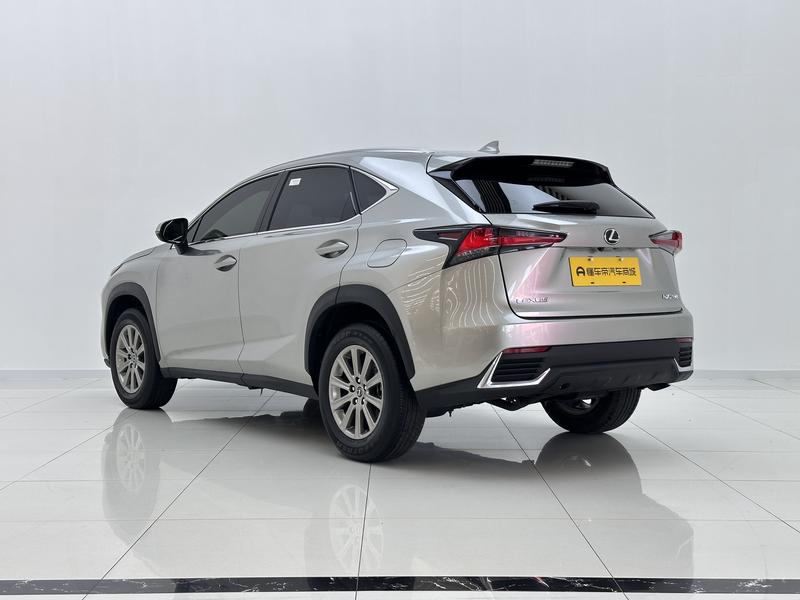 Lexus Lexus NX 2020