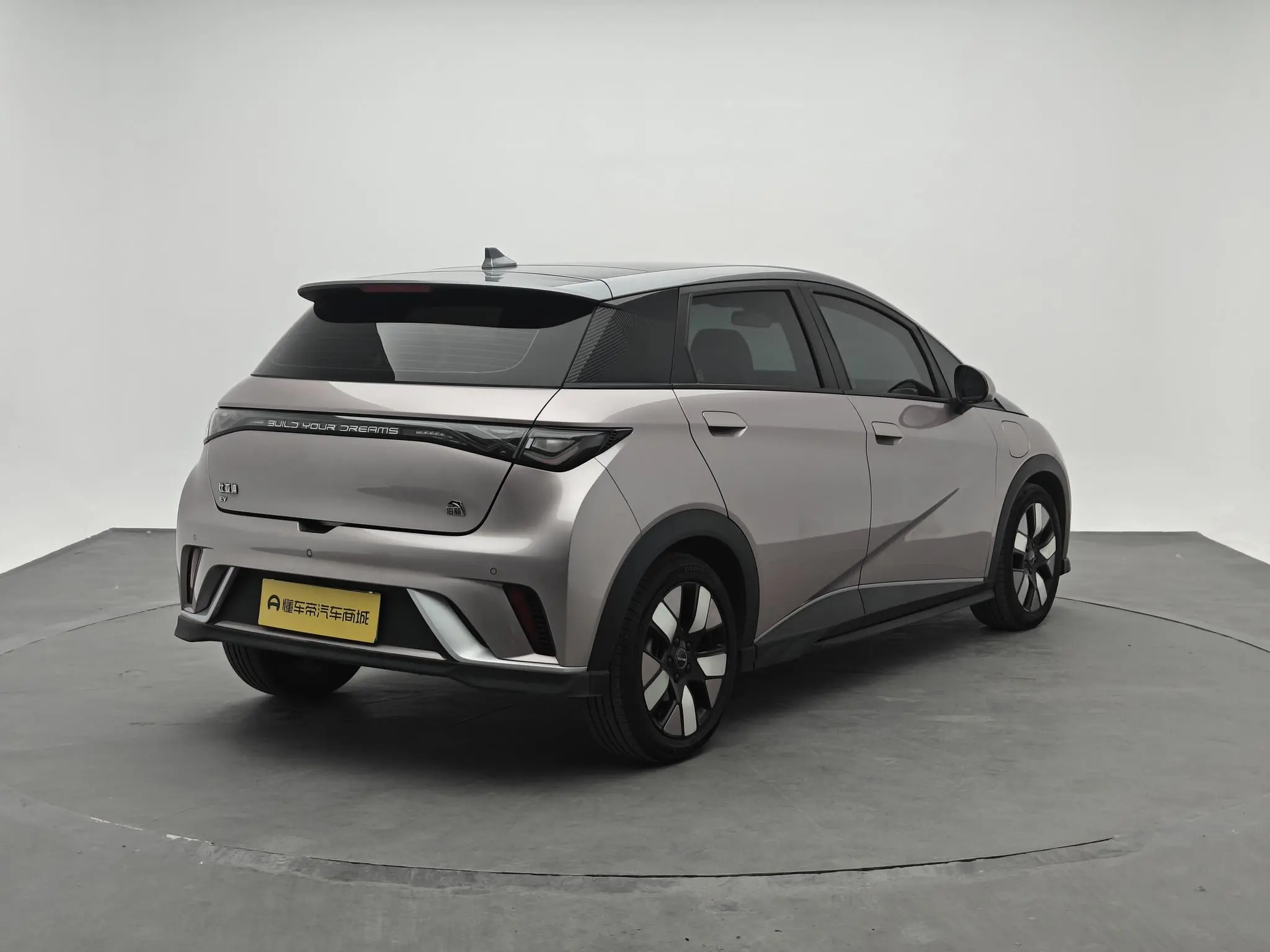BYD dolphin Knight Edition
