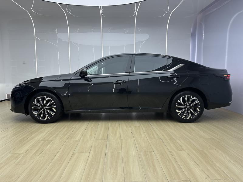 Nissan Sounds of Nature 2026