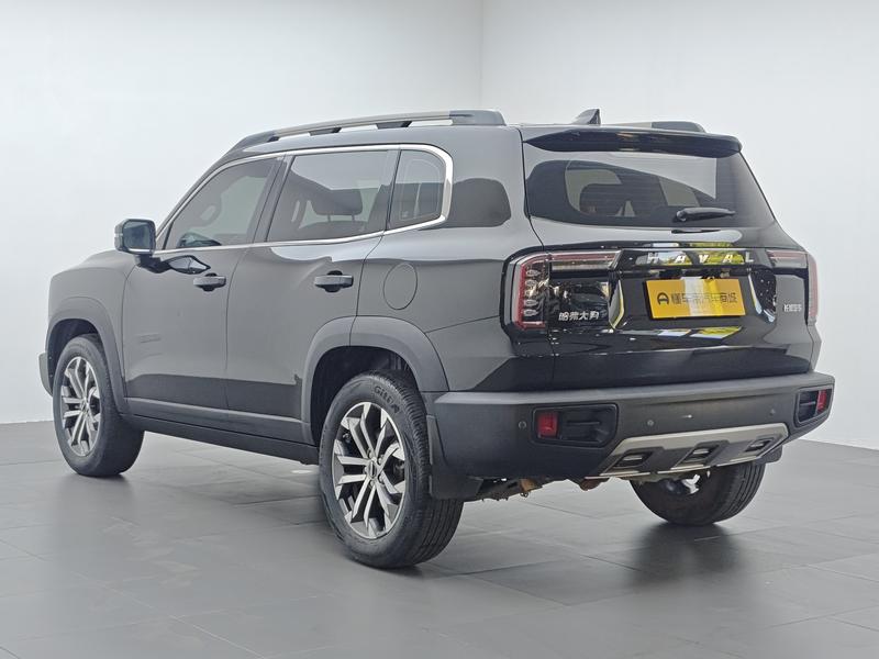 Haval 长城大狗 2021