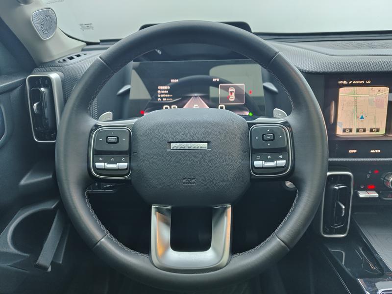 Haval 长城大狗 2021