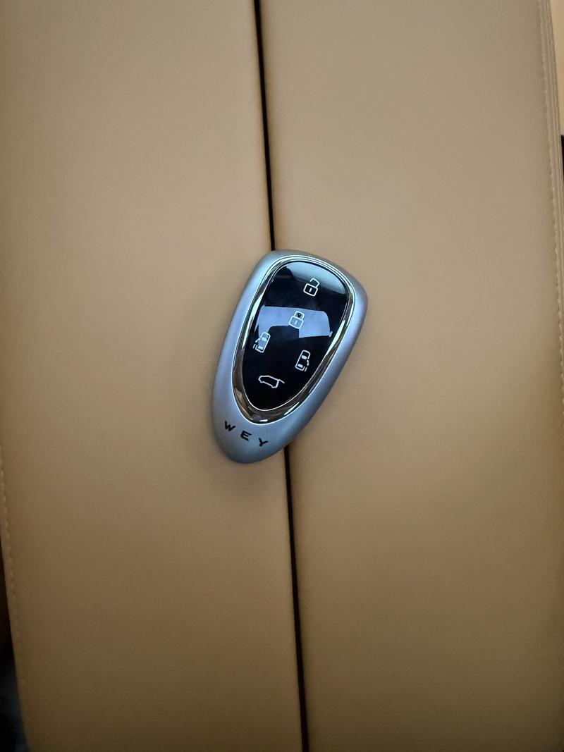 WEY 高山 PHEV 2025