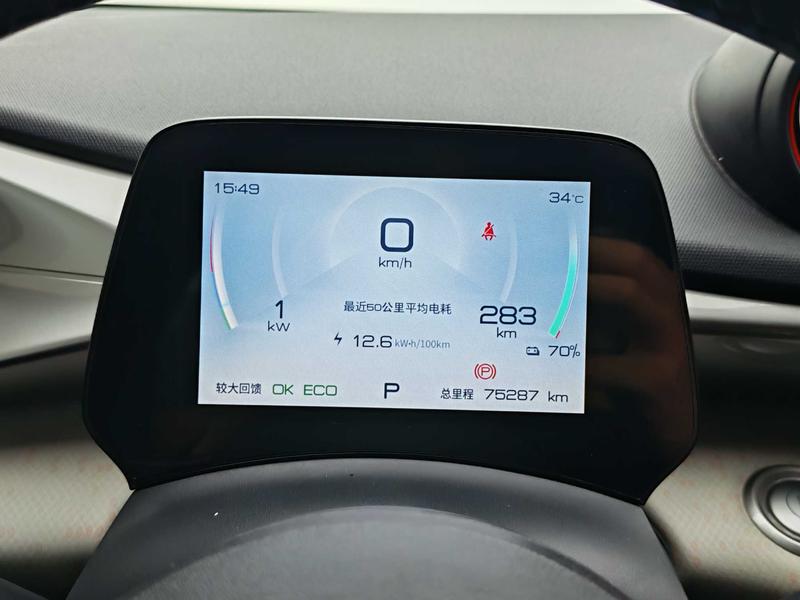 BYD dolphin 2021