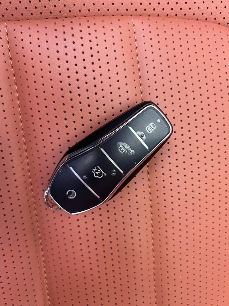 BYD Tang L DM 2025