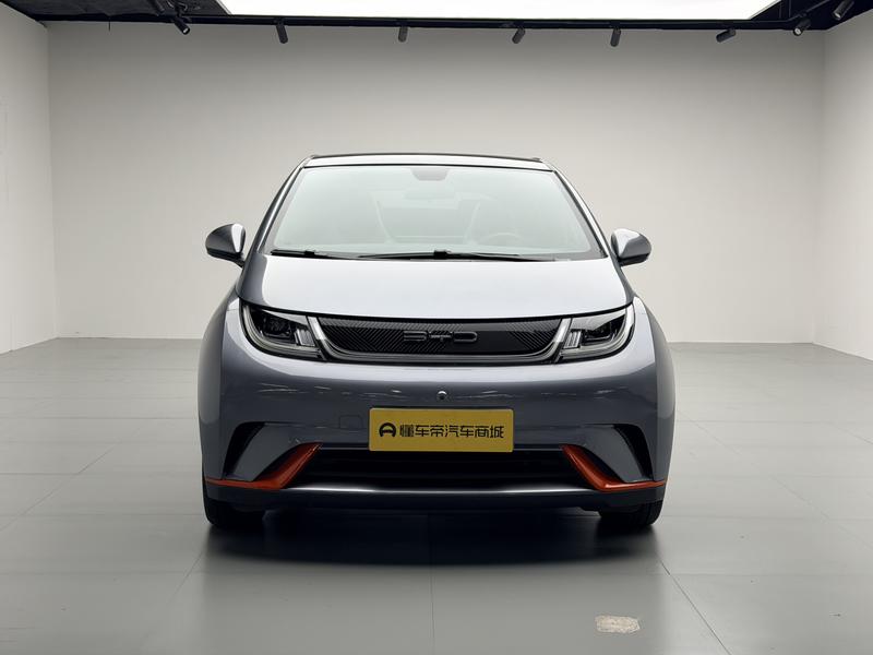 BYD dolphin 2021