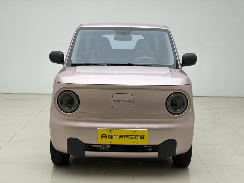 Geely Galaxy panda 2023