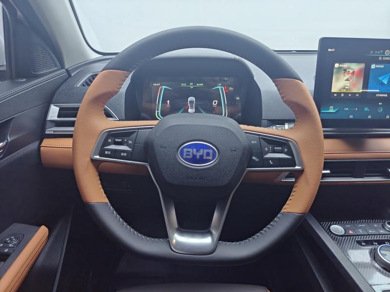 BYD BYD e2 2021