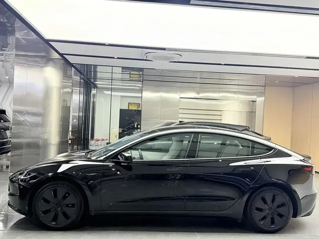 Tesla Model 3 Rear-wheel drive version