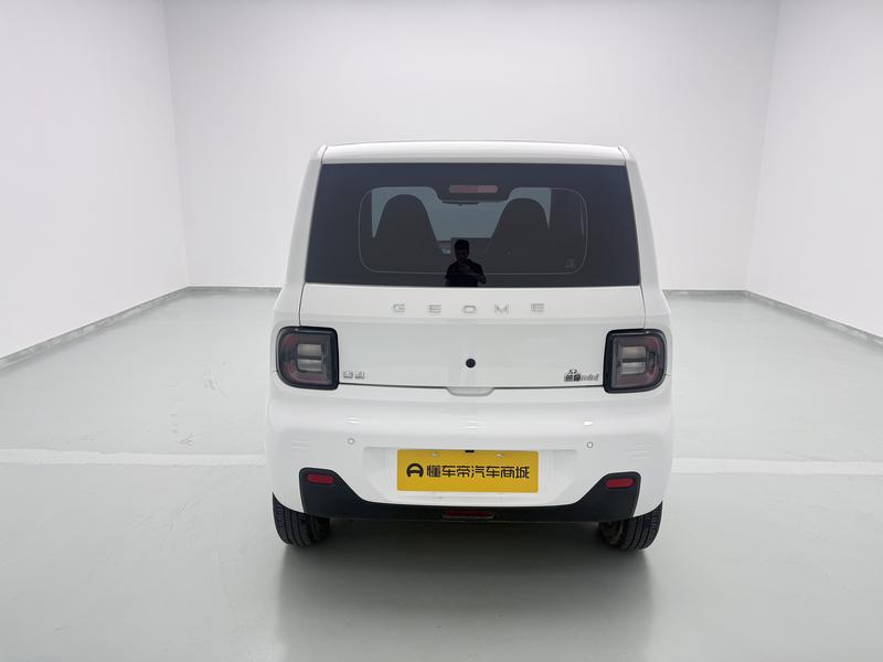 Geely Galaxy panda 2024