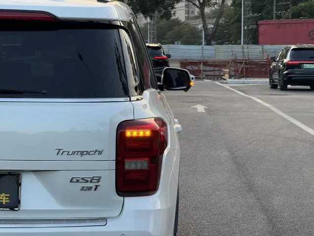 GAC Trumpchi GS8 320T two-wheel drive luxury Zhilian Edition 7 seats