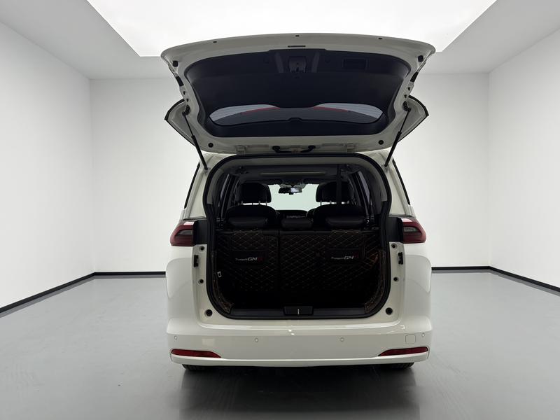 Trumpchi GAC Trumpchi M6 2019