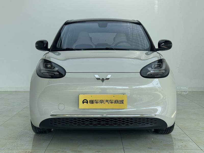 Wuling Wuling Binguo 2023