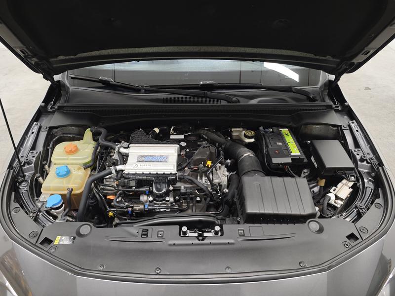 Trumpchi Shadow Leopard 2023