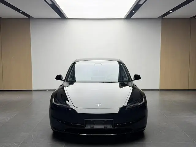 Tesla Model 3 Rear-wheel drive version