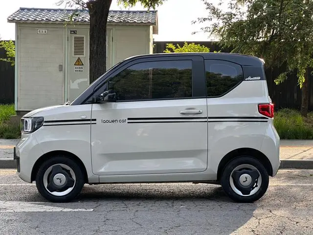 Wuling Wuling Hongguang MINIEV Macaron Premium Lithium Iron Phosphate