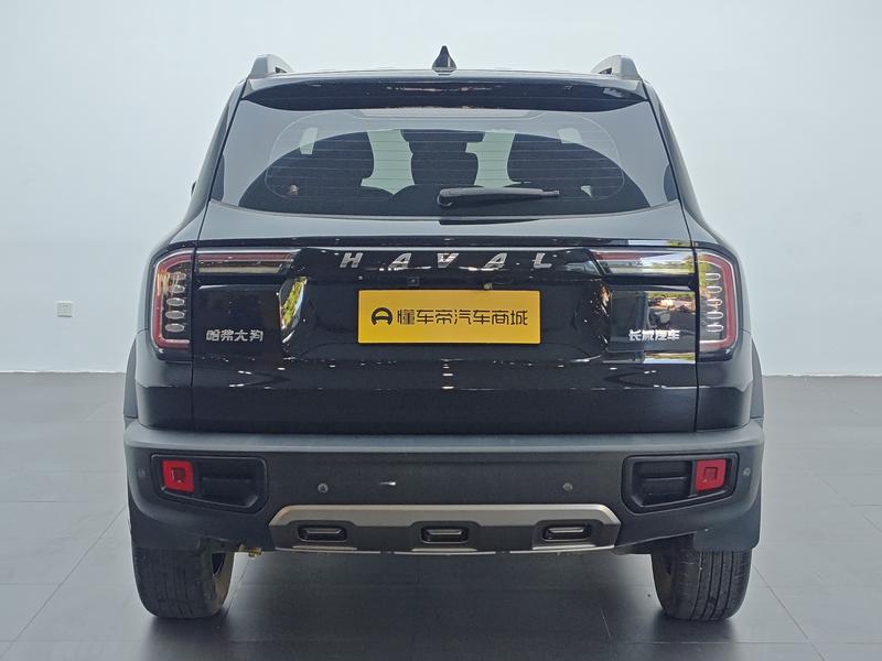 Haval 长城大狗 2021