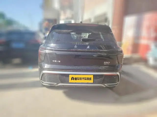 Hongqi Hongqi HS3 1.5T Shanwei Edition